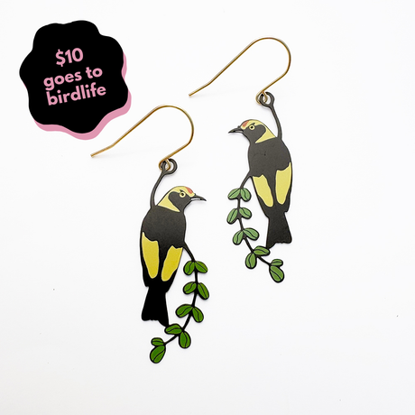 Regent Bowerbird earrings in Black, Yellow & Green