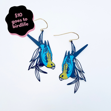 Pale Headed Rosella earrings in Blues & Yellow