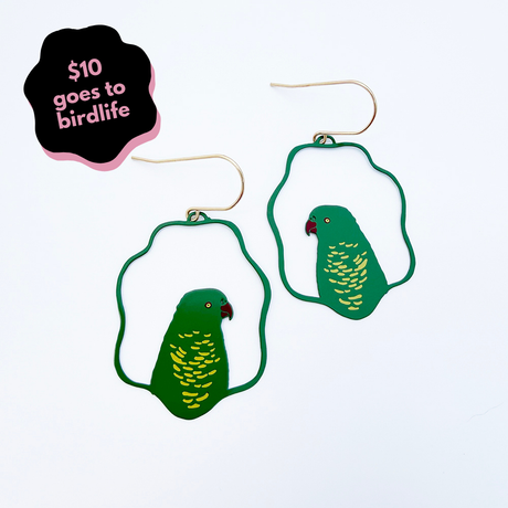 Scaley-Breasted Lorikeet earrings in Green, Yellow & Red