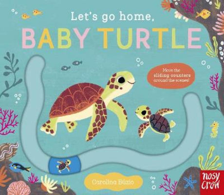 Baby Turtle