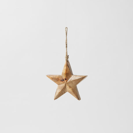 Pilbeam Living Star Hanging Ornament Small