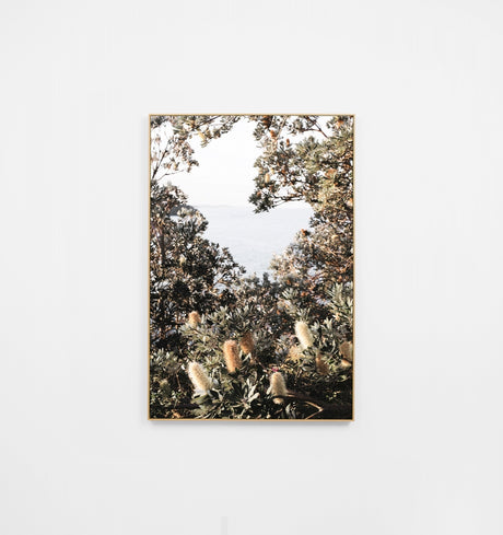 Warranbrooke Coastal Banksias Canvas 62x92cm