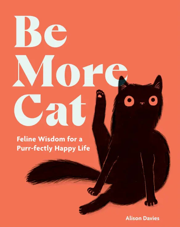 Book cover of Be More Cat by Hardie Grant, featuring a wide-eyed black cat with attitude sitting on an orange background.
