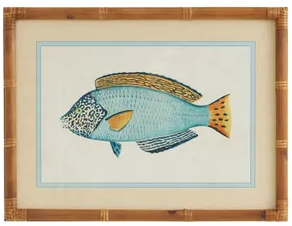 Coast to Coast Nemo Frame Glass Print 45x60cm Reef Fish 2