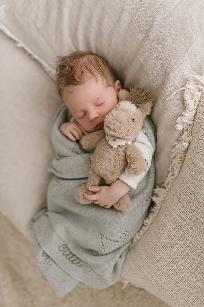 Nana Huchy Harvey the Horse Rattle