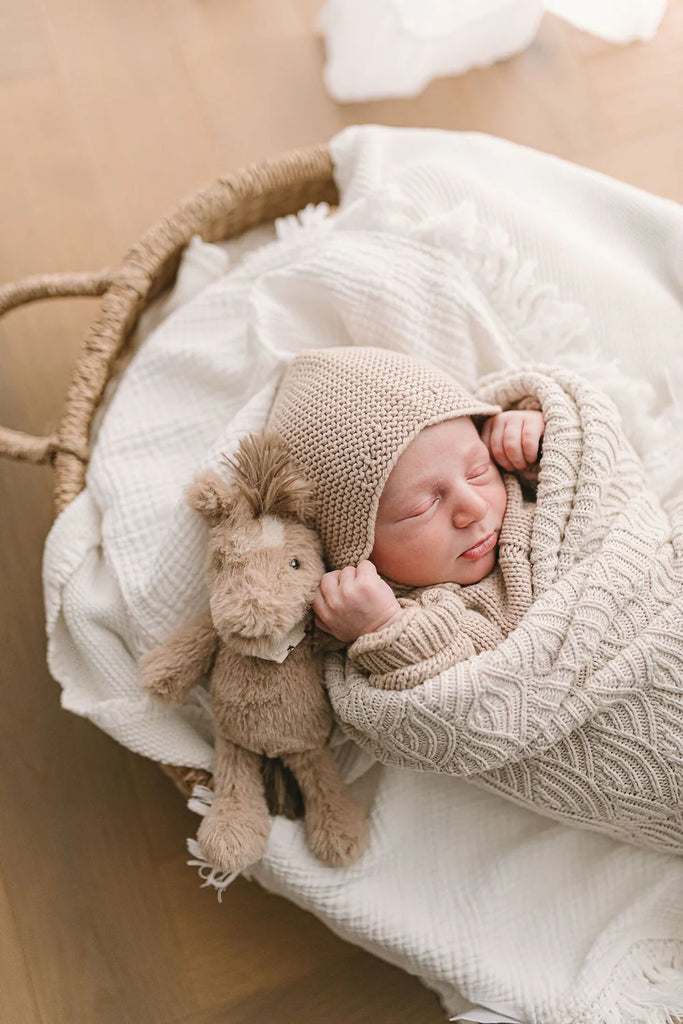 Nana Huchy Harvey the Horse Rattle