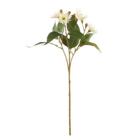 IsAlbi Eucalyptus Flower Spray 31x22x62cm White
