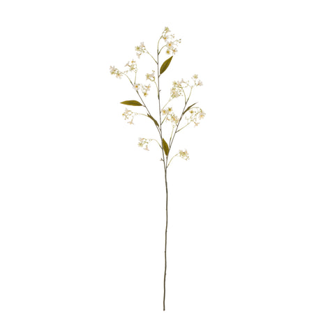 IsAlbi Daphne Spray 28x17x108cm Cream