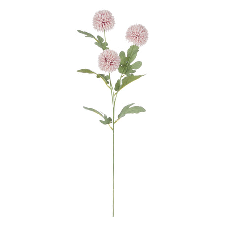 IsAlbi Kiku Spray 18x10x70cm Pink