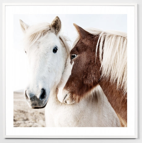 Warranbrooke Winter Ponies Framed Print 83x83cm